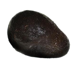 Avocado Hass