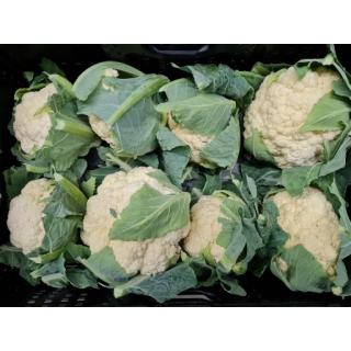 Blumenkohl